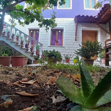 Guesthouse Hlias Gloria Берат Экстерьер фото