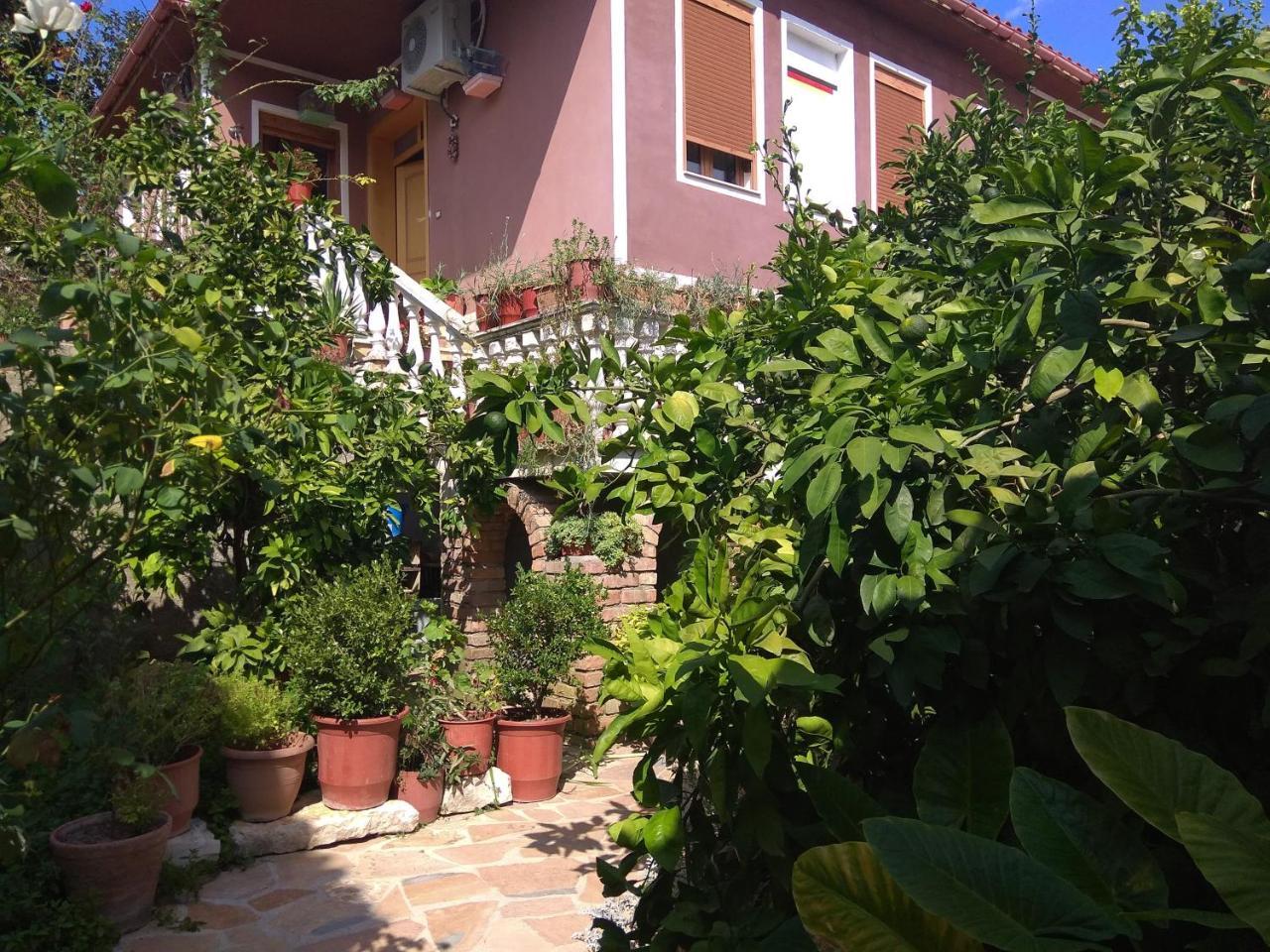 Guesthouse Hlias Gloria Берат Экстерьер фото
